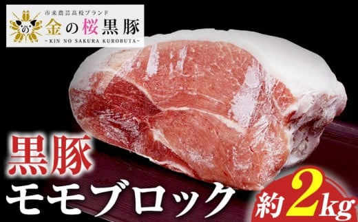 ＼塊肉/金の桜黒豚 モモ肉 ブロック 約2kg 鹿児島県産 黒豚 豚肉 ブロック肉 とんかつ[A-1833H]