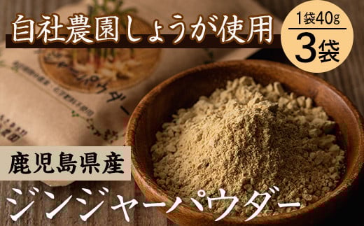 【11月受付再開予定】有機生姜使用!鹿児島県産ジンジャーパウダー 40g×3袋【A-580H】