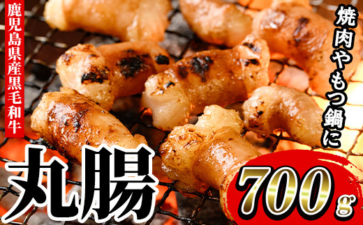 鹿児島県産 黒毛和牛 ホルモン 丸腸 700g 冷凍 国産 鹿児島県産 黒毛和牛 もつ鍋 焼肉 にも オススメ![A-1557H]