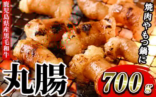 鹿児島県産 黒毛和牛 ホルモン 丸腸 700g 冷凍 国産 鹿児島県産 黒毛和牛  もつ鍋 焼肉 にも オススメ!【A-1557H】