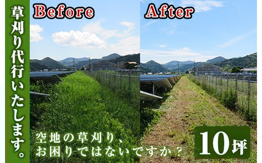 空地の草刈り代行サービス 10坪単位【A-855H】