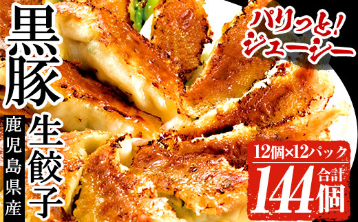 鹿児島黒豚生餃子 合計144個！（12個×12P） 国産 鹿児島県産 黒豚 餃子 ぎょうざ ギョーザ ギョウザ 冷凍餃子 冷凍 冷凍食品 惣菜 弁当 おかず 小分け 詰め合わせ 大容量【A-1864H】