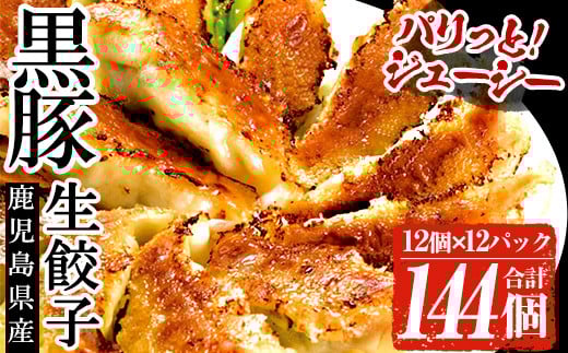 鹿児島黒豚生餃子 合計144個！（12個×12P） 国産 鹿児島県産 黒豚 餃子 ぎょうざ ギョーザ ギョウザ 冷凍餃子 冷凍 冷凍食品 惣菜 弁当 おかず 小分け 詰め合わせ 大容量【A-1864H】