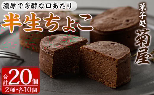 濃厚で芳醇!ふんわりかるーい♪チョコレートケーキ<半生ちょこ 20個(10個×2箱)>1口サイズ チョコレートケーキ 冷凍 個包装 チョコレートケーキ【A-1427H】