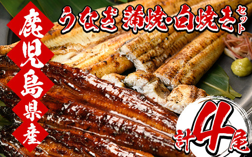 厳選!国産 鹿児島県産 うなぎ 蒲焼 2尾 + 白焼き 2尾 の 食べ比べ セット 鰻養殖生産量日本一 鹿児島県産新仔うなぎ使用 こだわりの地焼き! 冷凍うなぎ 秘伝のタレ 付き うな重 うな丼 きざみ鰻 うなぎのせいろ蒸し弁当にもオススメ! 贈答 ギフト にも!【南竹鰻加工】【C-200H】
