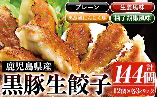 鹿児島黒豚生餃子4種詰合せセット 合計144個!(4種×12個×3P)プレーン 生姜風味 黒胡椒にんにく 柚子胡椒 4種の黒豚生餃子を食べ比べ♪ 国産 鹿児島県産 黒豚 餃子 ぎょうざ ギョーザ ギョウザ 冷凍餃子 冷凍 冷凍食品 惣菜 弁当 おかず 小分け 詰め合わせ 【A-1872H】