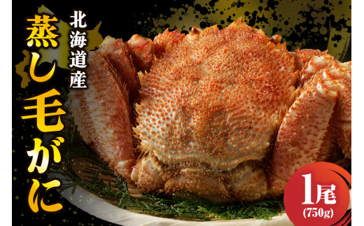 北海道産活蒸し毛蟹約750g×1尾【er001-111】