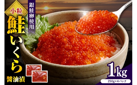 えりも【マルデン特製】鮭いくら醤油漬け250g×4箱【er002-099】