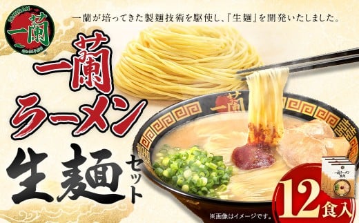 【寄附額改定↓】一蘭ラーメン生麺セット （12食入）  一蘭 ラーメン 生麺 麺 豚骨