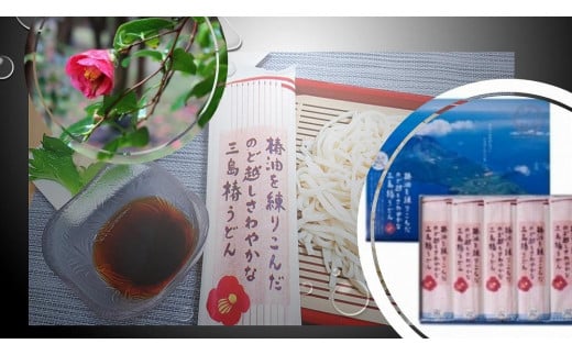 椿油を練りこんだのど越しさわやかな三島椿うどん(鰹だしの素5袋入)