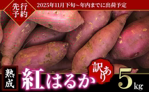 【 先行予約 】【 訳あり 】茨城県産 熟成さつまいも「 紅はるか 」 5kg 【 2025年11月下旬頃~年内までに出荷 】【 さつまいも 紅はるか 芋 サツマイモ 甘い 焼き芋 スイートポテト 茨城県産 大容量 不揃い ねっとり 】