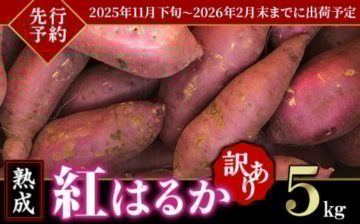 【 先行予約 】【 訳あり 】茨城県 産熟成さつまいも 「 紅はるか 」 5kg 【 2025年11月下旬頃~2026年2月末までに出荷 】【 さつまいも 紅はるか 芋 サツマイモ 甘い 焼き芋 スイートポテト 茨城県産 大容量 不揃い ねっとり 】
