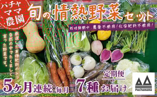 【 5ヶ月連続お届け 】 農園自慢の情熱野菜セット （ 7品 ）【 野菜 詰め合わせ お任せ 季節物 定期便 セット 山芋 パセリ わさび菜 ポップコーン かぶ 人参 里芋 たまねぎ 玉ねぎ ルッコラ ほうれん草 春菊 大根 芽キャベツ レタス じゃがいも さつまいも とうもろこし そら豆 枝豆 パクチー ビーツ ほうれん草 キャベツ ピーマン なすトマト かぼちゃ 】