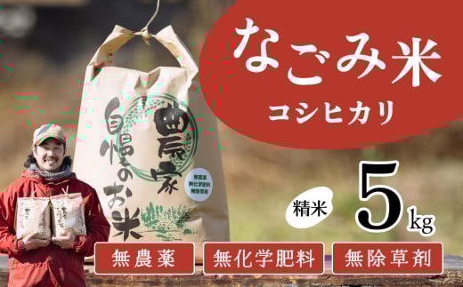 【12月発送】茨城県下妻市産 なごみ米（ コシヒカリ ） 精米 5kg 【 お米 コシヒカリ 米 無農薬 無化学肥料 無除草剤 精米 自然 農法 茨城県産 】