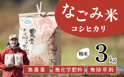【12月発送】茨城県下妻市産 なごみ米（ コシヒカリ ） 精米 3kg　【 お米 コシヒカリ 米 無農薬 無化学肥料 無除草剤 精米 自然 農法 茨城県産 】