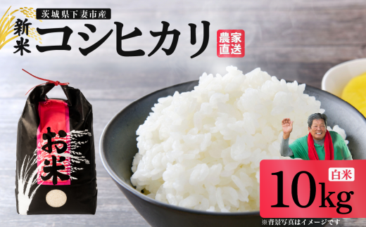 精米 コシヒカリ 10kg 茨城県下妻市産 【 米 お米 白米 ごはん こめ コシヒカリ 令和7年産 茨城県産 】