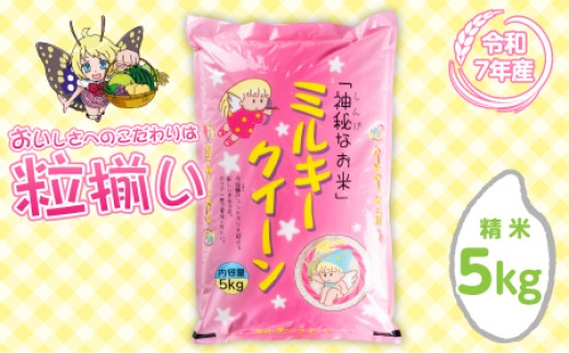 【最短7日発送】精米 ミルキークイーン 5kg 茨城県下妻市産 【 お米 米 白米 ご飯 こめ ミルキークイーン 令和7年産 茨城県産 】