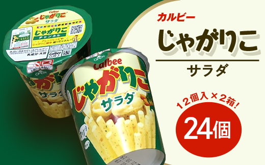 カルビー じゃがりこ サラダ 2箱 ( 24個 )【 下妻工場産 】【 お菓子 おやつ ポテト じゃがいも 人気 ふるさと納税 サラダ味 】
