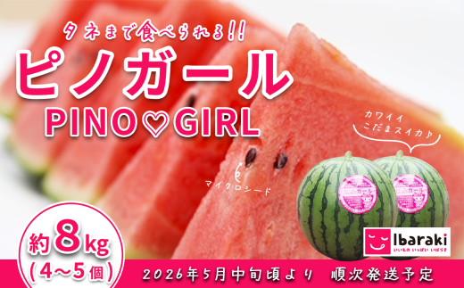 【 先行予約 】茨城県産 ピノガール 約8kg ( 4 ~ 5個 ) 【 2026年5月中旬~6月中旬ごろ発送予定 】 【 スイカ 西瓜 果物 くだもの フルーツ 国産 季節限定 人気 贈り物 お取り寄せ プレゼント 厳選 デザート 】