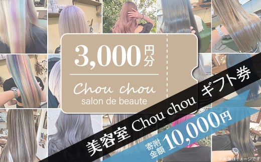 美容室 Chou chou ギフト券 ( 3,000円分 )[ 美容室 美容院 美容体験 ヘアサロン ヘアカット 利用券 ギフト券 美容 髪 シャンプー トリートメント ヘアスタイル ]