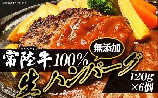 生ハンバーグ 120g × 6個 【 常陸牛 】100％ 【 牛肉 牛 肉 はんばーぐ 無添加 ブランド牛 冷凍 ブランド 人気 おすすめ 国産 黒毛和牛 】[SZR]