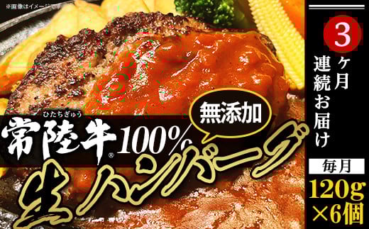 生ハンバーグ 120g × 6個 【 常陸牛 】 100％ 【 3ヶ月連続お届け 】【ハンバーグ 生ハンバーグ 常陸牛 冷凍 牛肉 贅沢 黒毛和牛 おかず 惣菜 便利】[SZR]