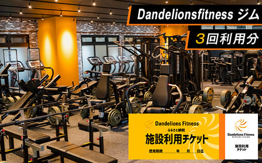 ジム 利用チケット × 3回 ( Dandelionsfitness )【 利用券 体験 チケット トレーニング 筋トレ 健康 スポーツ ダイエット 】