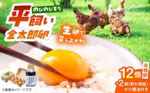 【鮮度AA級の世界最高ランク！】金太郎卵 平飼い卵 12個（6個✕2パック） 卵かけご飯 セット ＜有限会社 フジノ香花園＞那珂川市 国産 平飼い 平飼い卵 たまご タマゴ 玉子 鶏卵 たまご焼き [GAM002]