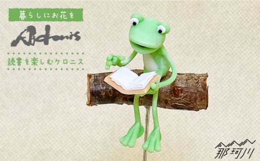 【暮らしにお花を】読書を楽しむケロニス＜フラワーデザイン・アドニス＞那珂川市 [GBN006]