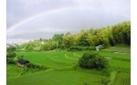 風景・景観の形成