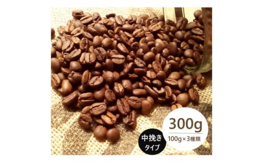 発送当日珈琲豆焙煎!スペシャルティ珈琲豆100g×3種類(中挽き)【1604204】