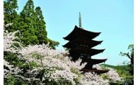 （１）文化・観光・スポーツ資源を活かした「元気な県都づくり」