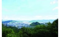 （６）まちづくり全体への支援