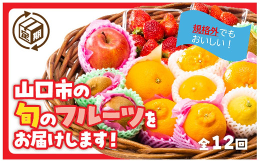 A086 規格外だけど美味しさ満点!エコ・フルーツアソートボックス定期便(12回)