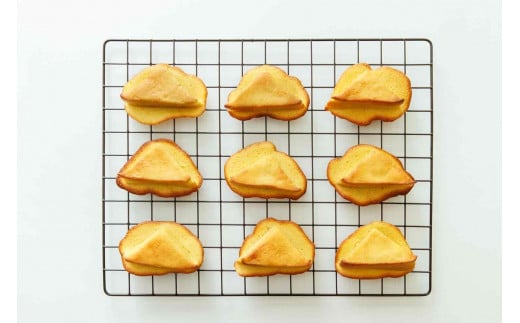 D400 三角チーズサンドパン１０個入