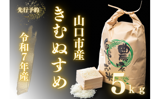 D395 農家直送！山口市産新米「きぬむすめ」精米5kg