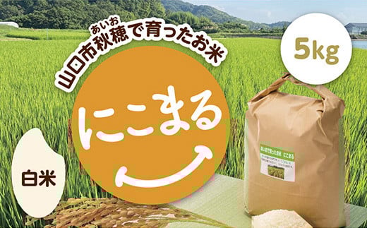 D420 あいお（秋穂）で育ったお米 にこまる 白米 5kg