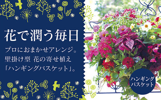 C053 花うるる おまかせハンギング 寄せ植え Mサイズ(完成品 鉢 鉢植え 壁掛け ハンギングバスケット 通販 プレゼント おしゃれ 珍しい 苗 玄関 屋外 フラワーギフト 誕生日 花苗 ギャザリング 冬 プランター ハンキング 花飾り 園芸 アレンジメント 春