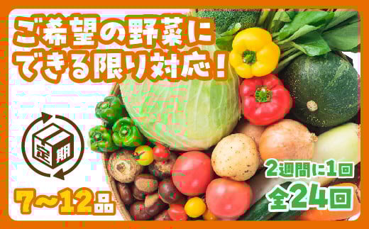 A028 わがままお野菜定期便(24回)