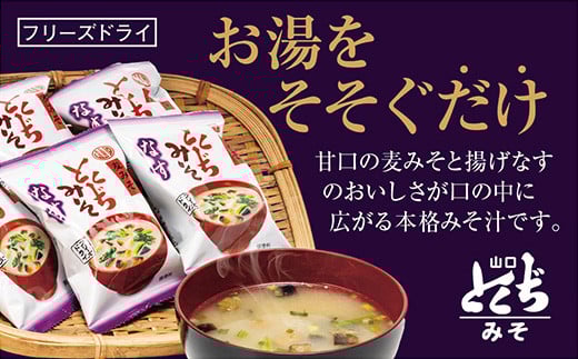 D109 とくぢ味噌フリーズドライみそ汁(なす)30ヶ入