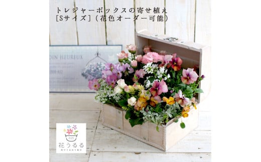 D015 花うるる おまかせ 寄せ植え トレジャーBOX [Sサイズ](玄関 屋外 完成品 春 夏 秋 冬 セット ギフト 花 フラワーギフト プレゼント 鉢植え お花 誕生日 女性 寄植え 母の日 おしゃれ 鉢 妻 ガーデニング 新築祝い 記念日 開店祝い アレンジメント