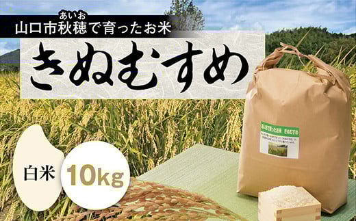 C120 あいお（秋穂）で育ったお米　きぬむすめ　白米10kg