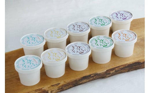 1345 おとうふアイス　いろいろ10個セット