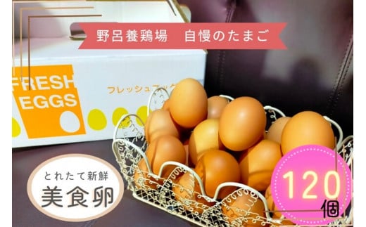 1522 こだわり 自慢のたまご 美食卵 120個 伊勢産 野呂養鶏場 ふるさと納税 玉子 国産 新鮮 濃厚 たまご 卵 生卵 とれたて 卵かけごはん TKG お取り寄せ グルメ 伊勢志摩 三重県 伊勢市