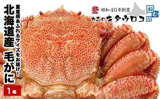 C-25025【12/21まで年内配送】 毛がに800g~1kg