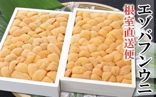 エゾバフンウニバラ詰め150g×2折[5月中旬以降発送]