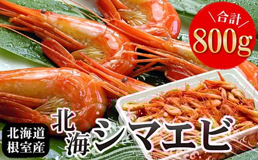 A-07012【12/21まで年内配送】 【北海道根室産】北海シマエビ800g(80～130尾)