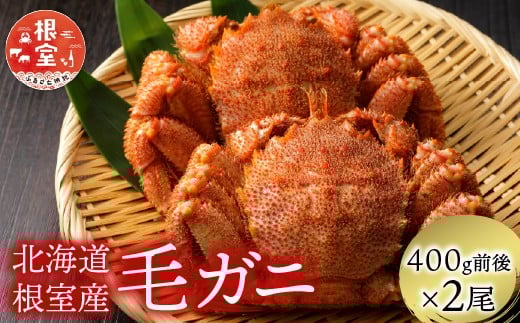 B-21003【12/21まで年内配送】 【北海道根室産】毛がに400g前後×2尾