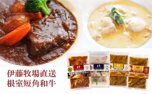 A-13006【12/17まで年内配送】 4種のシチュー・カレーセット