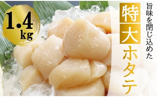 D-32011【12/17まで年内配送】 ＼漁業者応援品／【北海道根室産】＜計1.4kg＞ホタテ貝柱(特大)700g×2P ふるさと納税 ホタテ 帆立 ほたて 海鮮